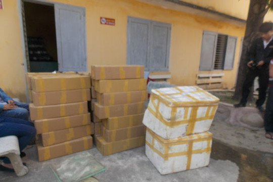 Bắt giữ xe khách vận chuyển gần 200 kg thịt bốc mùi hôi thối
