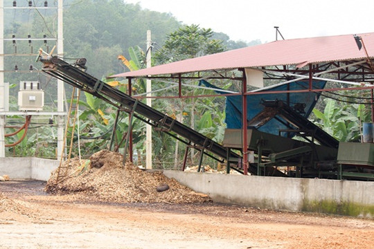 BQL rừng phòng hộ Lang Chánh (Thanh Hóa): Lập xưởng gỗ dăm trái phép?