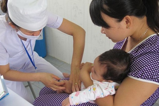 Khẩn trương thu hồi vắc xin phòng dại kém chất lượng