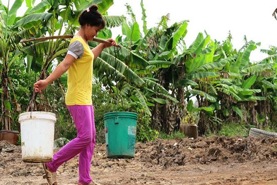 Bao giờ hơn 2.300 hộ dân Cà Mau mới… hết khát?