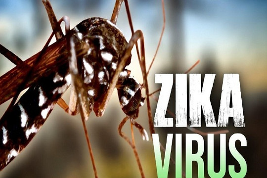 Những điều không thể bỏ qua về virus Zika
