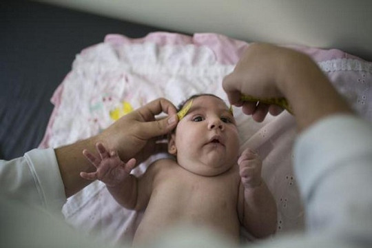6 cơ sở xét nghiệm chính xác bệnh nhân có nhiễm virus Zika