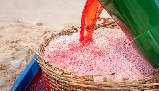 Nhuộm ruốc bằng hóa chất ở Phú Yên: Làm theo đơn đặt hàng