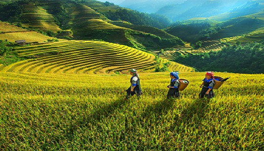 Dự báo thời tiết ngày 5/4: Vùng núi phía bắc nắng nóng 36 độ C