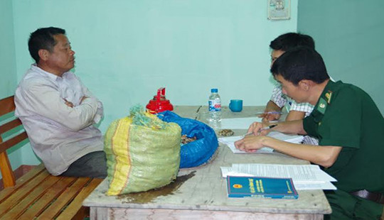 Lợi dụng đi du lịch để thu mua hải sản