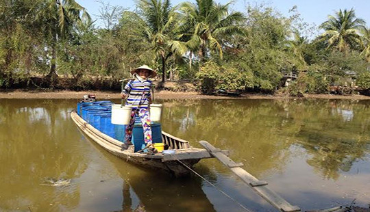 Số hộ dân thiếu nước sinh hoạt ở Cà Mau lên đến hơn 6.000 hộ