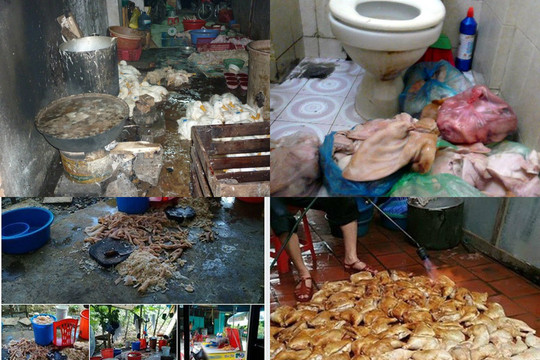 Pháp luật hình sự chặn thực phẩm bẩn