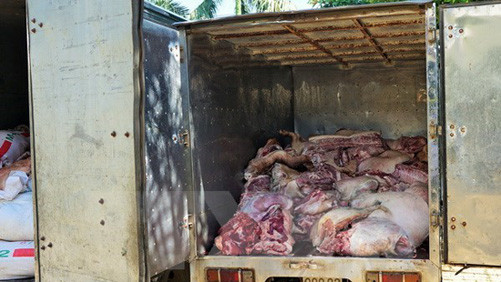 Bắt xe tải chở 300 kg thịt lợn không có giấy chứng nhận kiểm dịch