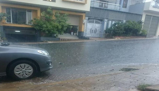 “Mưa vàng” giải hạn trên Tây Nguyên