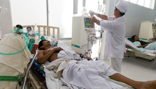 Ăn bọ rầy, 1 người chết, 2 người nguy kịch