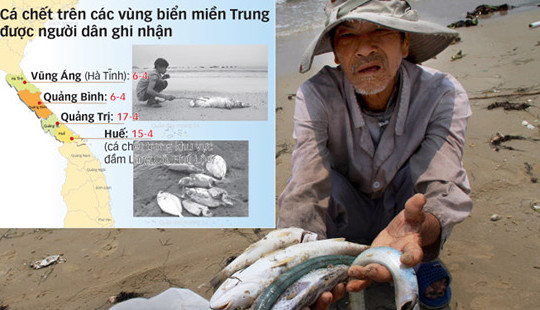 Kiểm tra thông tin “Nghi vấn ống xả thải khổng lồ dưới biển Vũng Áng”; điều tra nguyên nhân cá chết tại miền Trung