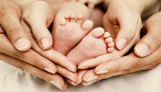 Di truyền – sự kết nối kỳ diệu từ bố mẹ sang con cái