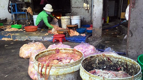 Hải Dương: Bắt quả tang cơ sở giết mổ lợn chết đem bán