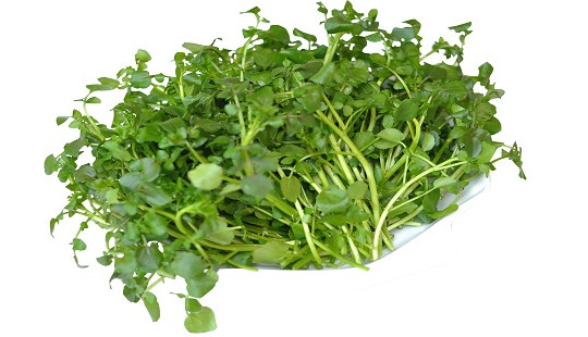 Trị mụn trứng cá siêu tốc, siêu hiệu quả bằng các loại rau, mặt nạ hoa quả
