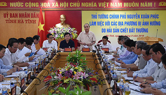 Thủ tướng Chính phủ: Xác định đến cùng thủ phạm chính gây hải sản chết bất thường