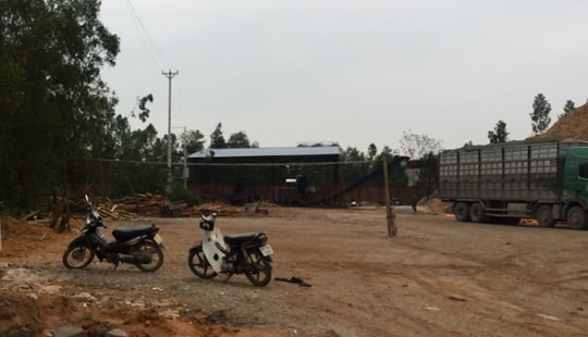 Thanh Hóa: Loạn sản xuất gỗ dăm trái phép và câu chuyện trách nhiệm
