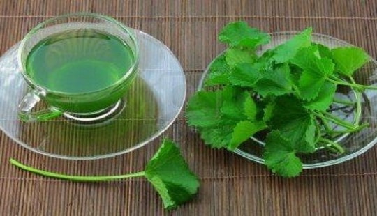 Những loại rau quả thanh nhiệt, giải độc mùa hè