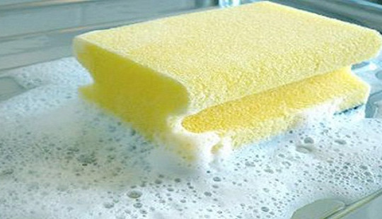 Rửa lòng chó bằng nước rửa bát có gây ung thư?