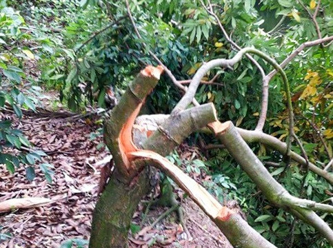 Khoái Châu, Hưng Yên: Vụ án nghiêm trọng phải tạm đình chỉ vì… không xác định được thủ phạm (!?)