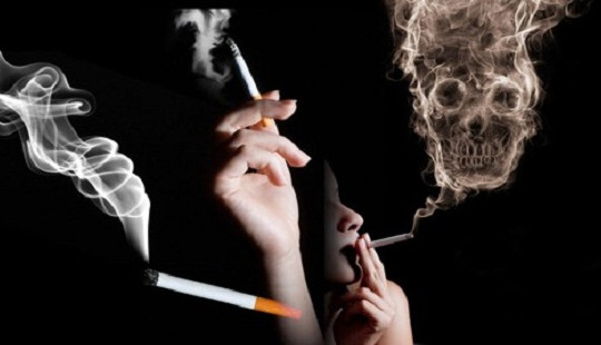 Việt Nam nằm trong top 4 quốc gia có người hút thuốc lá nhiều nhất thế giới