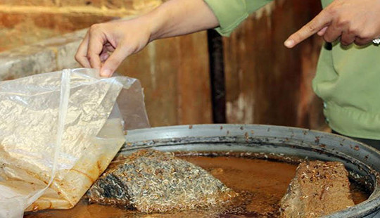 Kinh hoàng dòi lúc nhúc trong ụ chứa mắm
