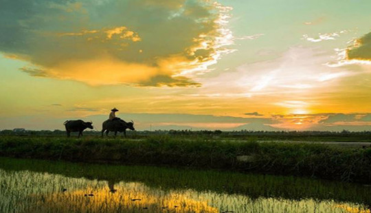 Nhớ mùa hè quê mẹ