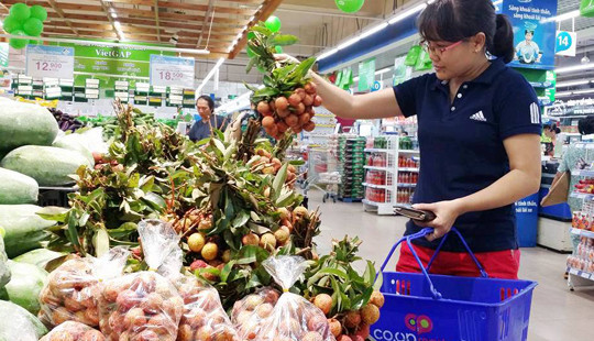 Saigon Co.op lên kế hoạch tiêu thụ 500 tấn vải tươi cho nông dân