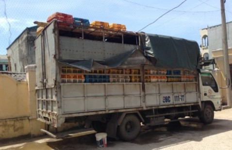 Bắt xe tải chở gà không rõ nguồn gốc