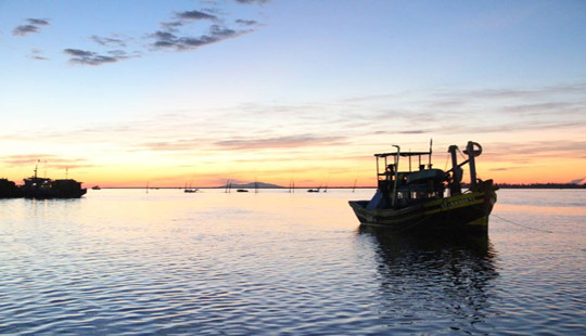Như cánh chim, anh đã bay về trời