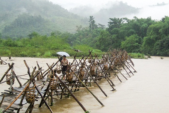 Một lần “chết hụt” ở Houaylin