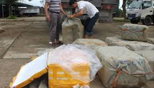 Tạm giữ hàng trăm kg hàng đông lạnh không rõ nguồn gốc