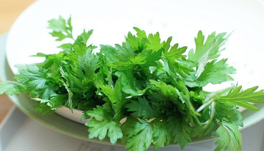 Loại cây có thể thay thế thuốc chữa được nhiều bệnh
