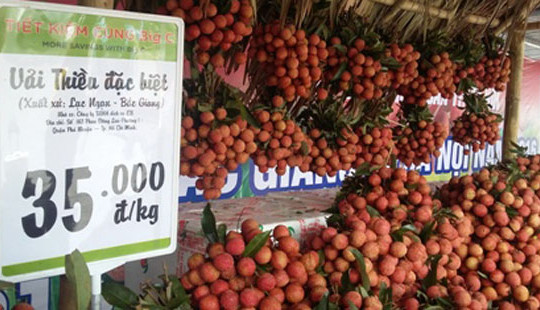 “Tuần lễ vải thiều Lục Ngạn-Bắc Giang” tại Hà Nội
