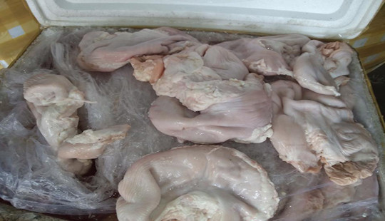 Bắt xe khách chở nội tạng bốc mùi và hàng trăm con chim cu gáy không kiểm dịch