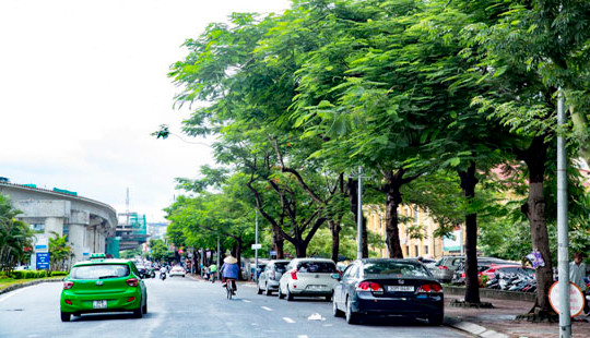 Hà Nội trồng cây, phủ xanh đường phố