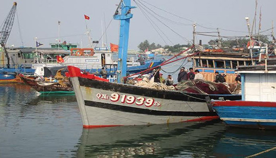 Hai tàu đâm chìm tàu cá Quảng Ngãi ở Hoàng Sa là tàu Trung Quốc