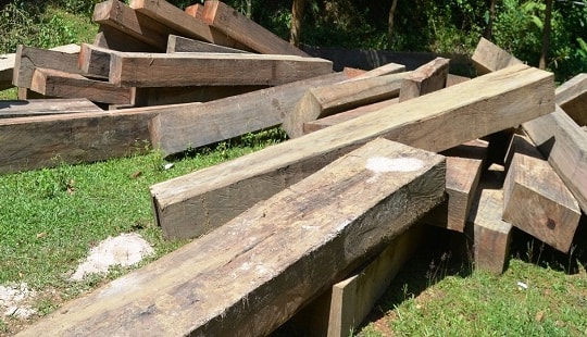 Xe bồn chở xăng dầu vận chuyển gỗ trái phép
