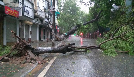 Bão quét tới Hà Nội: Gió giật mạnh, cây cối, xe máy đổ hàng loạt