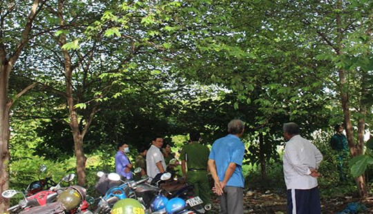 Bến Tre: Người phụ nữ chết trong tư thế treo cổ trên cây trứng cá