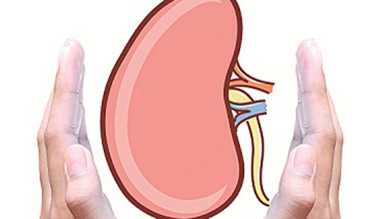 Những thực phẩm giúp cho thận khoẻ mạnh mỗi ngày