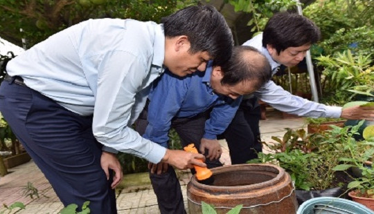 Bộ Y tế thành lập 8 đoàn kiểm tra, giám sát, chỉ đạo công tác phòng chống sốt xuất huyết