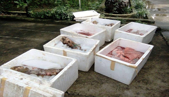 Phát hiện xe buýt chở 6 thùng nội tạng động vật bốc mùi hôi thối