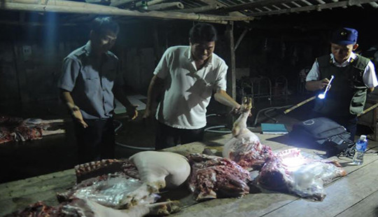 Một ngày bắt 3 cơ sở giết mổ heo lậu