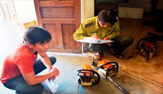 Bắt quả tang 5 đối tượng đốn hạ 3,5 ha rừng