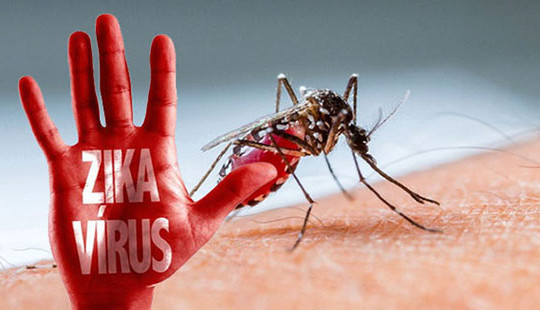 Hơn 10.000 người lây nhiễm virus Zika tại Puerto Rico, Mỹ ban bố tình trạng khẩn cấp