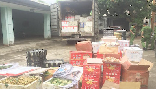 Bắt giữ xe tải vận chuyển hơn 2 tấn hoa quả không rõ nguồn gốc