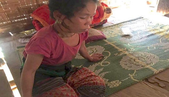Đi lấy củi trong rừng, hai mẹ con bị hàng trăm con ong rừng đốt