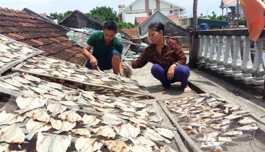 Thanh Hóa: Cá chết hàng loạt ở Tĩnh Gia do thủy triều đỏ