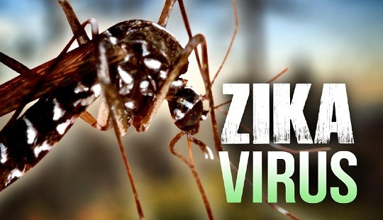 Trường hợp nhiễm vi rút Zika được phát hiện tại Nhật Bản không phải là người Việt Nam