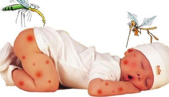 Cả nước ghi nhận 65.339 trường hợp mắc sốt xuất huyết